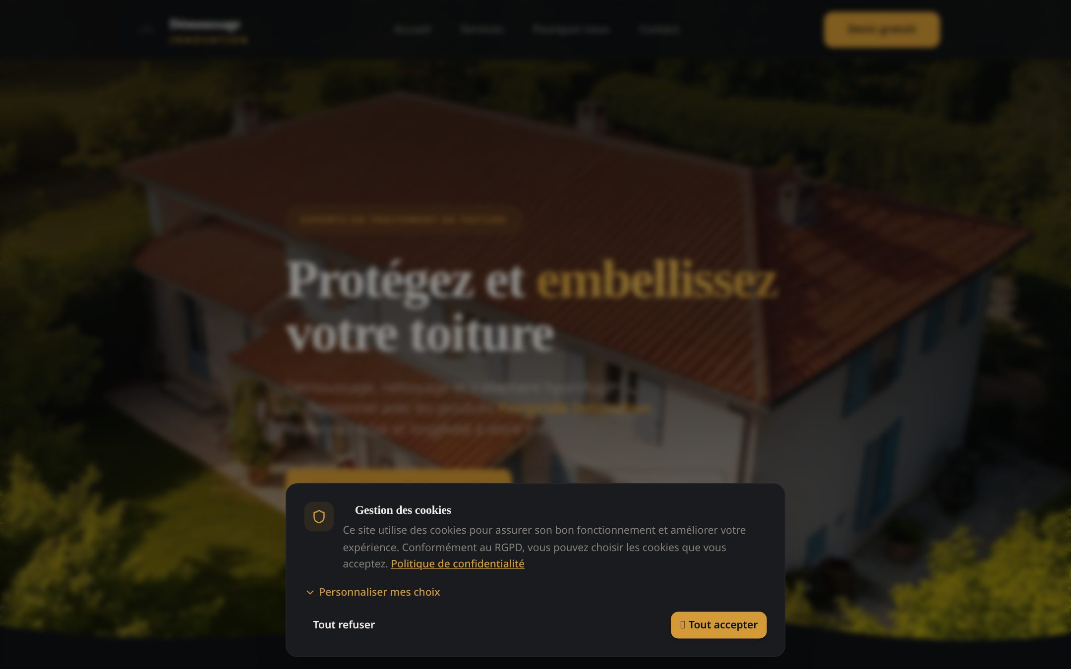 Site web Démoussage Innovation réalisé par Sameli Conseil